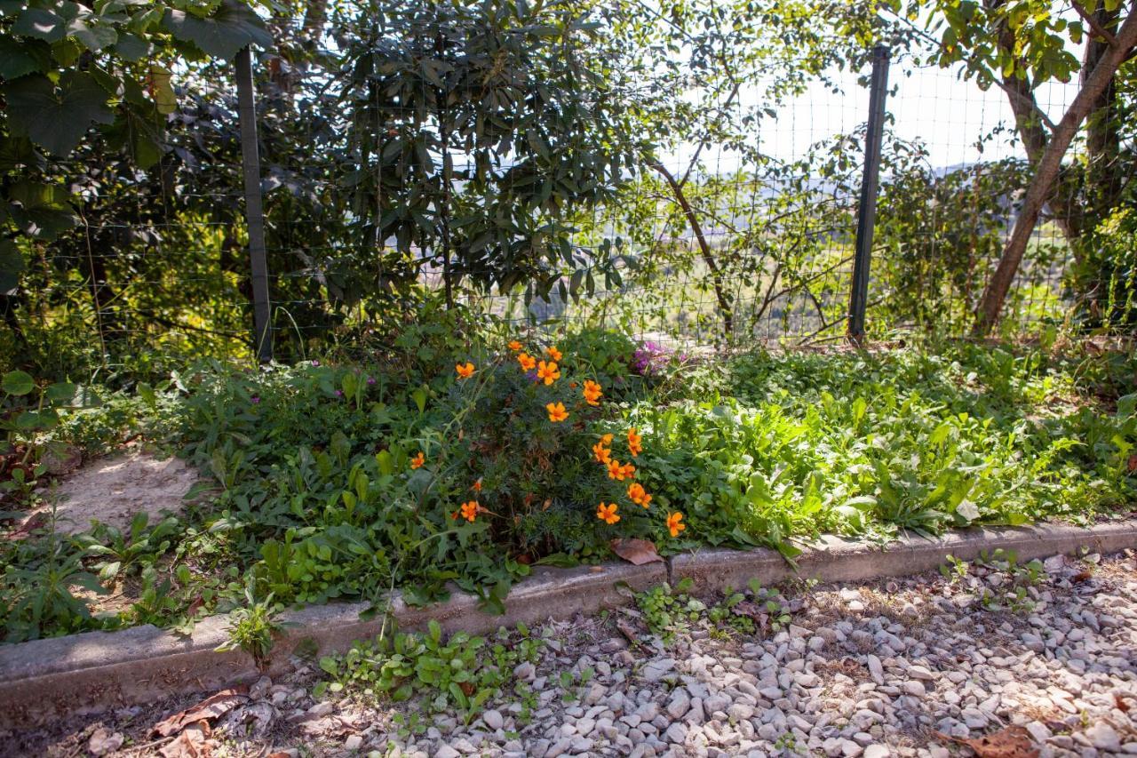 La Casa Rosa Lägenhet Piobesi d'Alba Exteriör bild