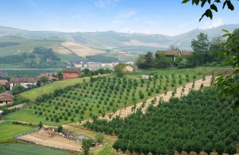 La Casa Rosa Lägenhet Piobesi d'Alba Exteriör bild