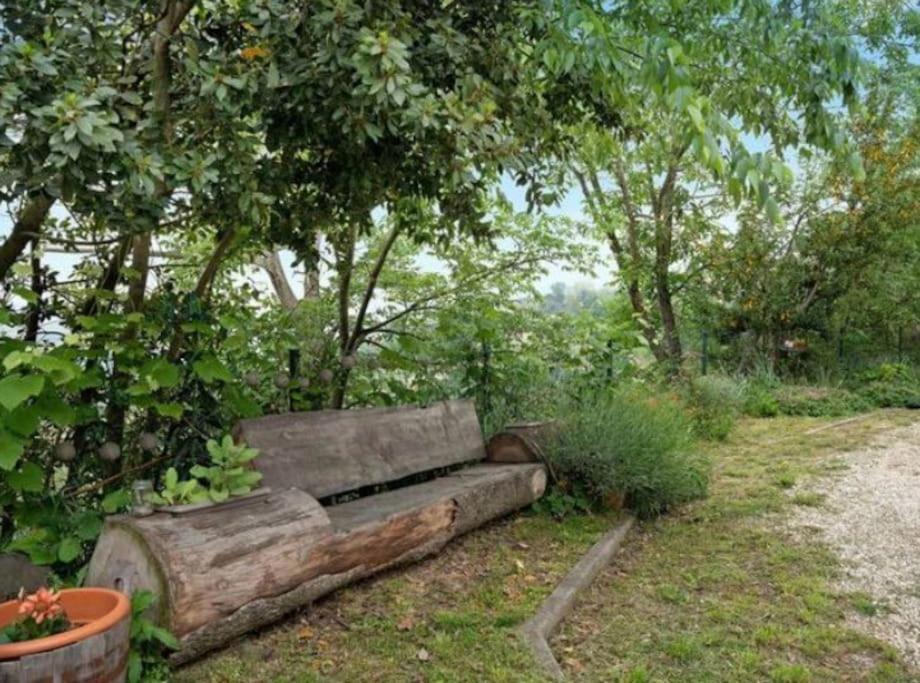 La Casa Rosa Lägenhet Piobesi d'Alba Exteriör bild